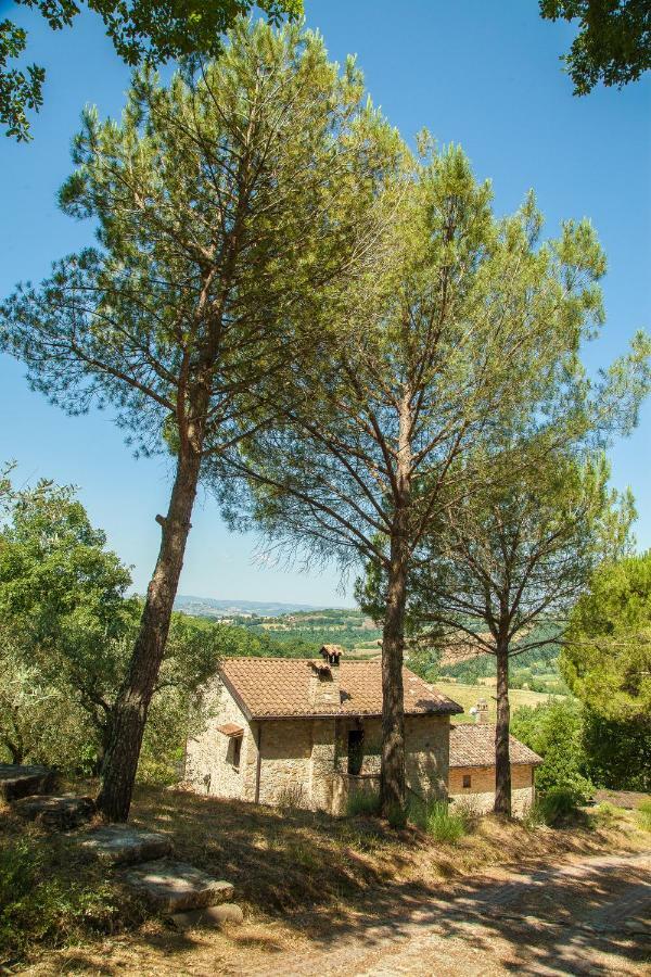 Agriturismo Bio Tra Cielo E Terra Apartment Grutti Exterior foto